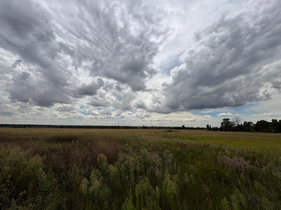 0 Bedroom Property for Sale in Vaalpark Free State